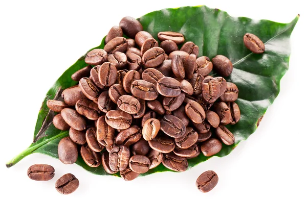 Kaffebönor på blad. — Stockfoto