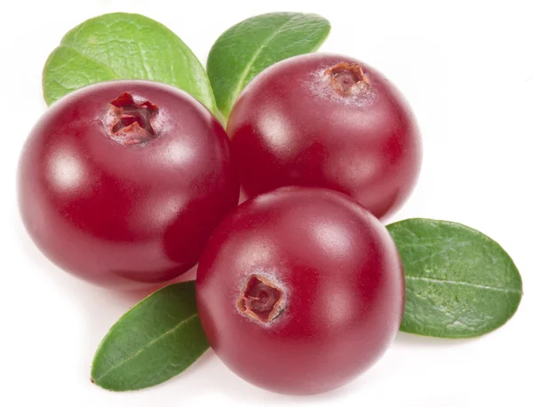 Cranberries with leaves. — Stock Photo, Image