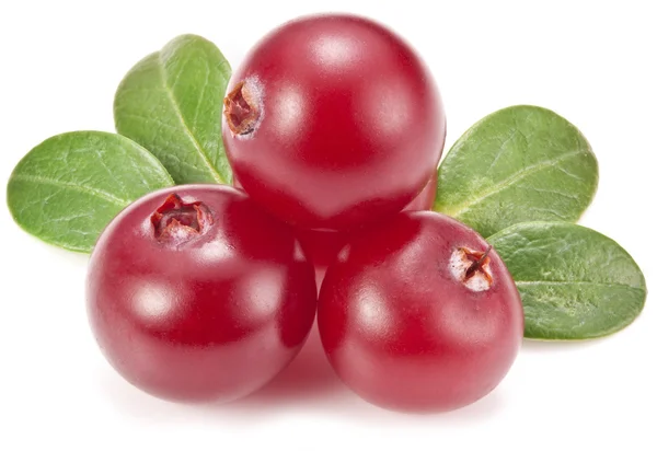 Cranberries with leaves. — Stock Photo, Image