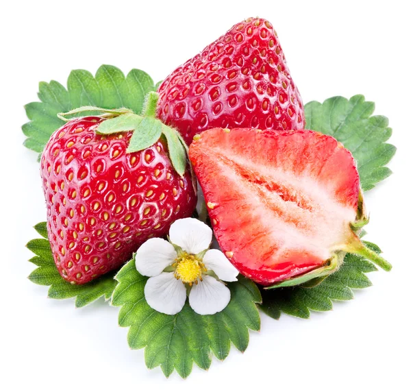 Un riche fruit de fraise isolé sur un blanc . — Photo