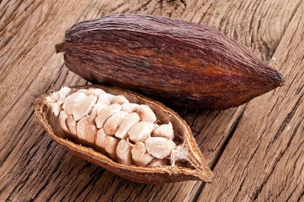 Cacaovrucht — Stockfoto