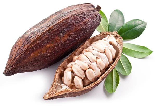 Cocoa pod — Stock Photo, Image