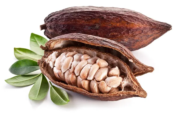 Cocoa pod — Stock Photo, Image