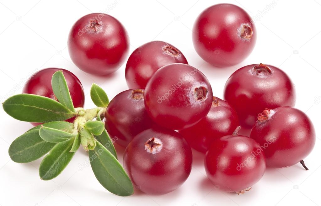 Cranberries with leaves.