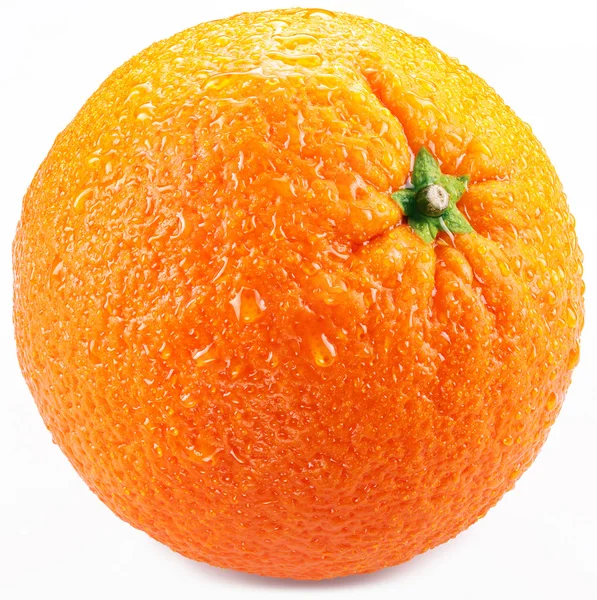 Оранжевый на белом фоне. — стоковое фото