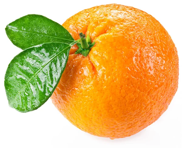 Πορτοκαλί με φύλλα που έχουν απομονωθεί σε λευκό φόντο. — Φωτογραφία Αρχείου