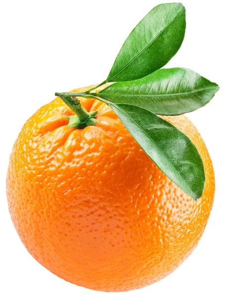 Orange med blad isolerad på en vit bakgrund. — Stockfoto