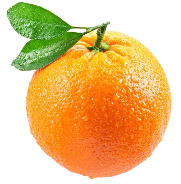 Orange med blad isolerad på en vit bakgrund. — Stockfoto