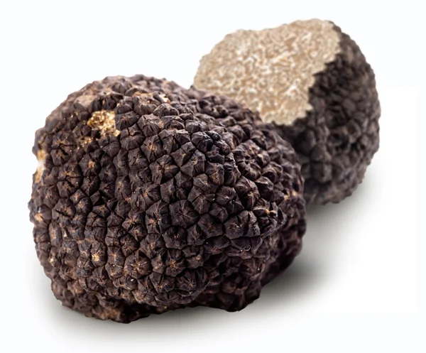 Black truffles. — Stock Photo, Image