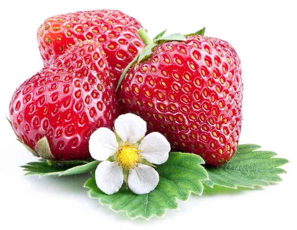 Erdbeeren mit Blättern isoliert auf einem weißen. — Stockfoto