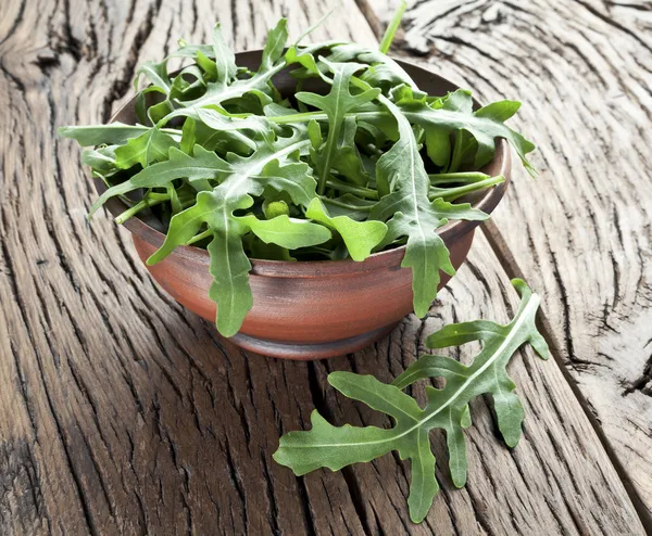 Arugula  herb. — Stock Photo, Image