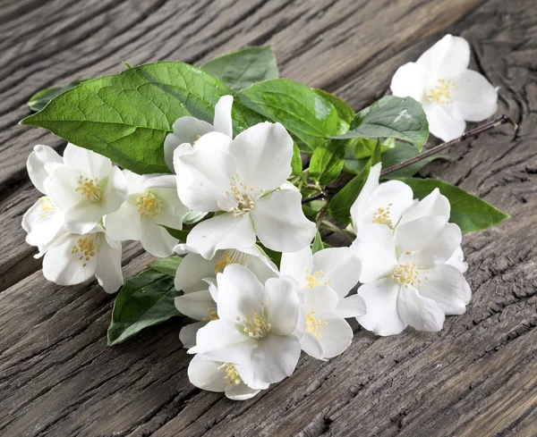 Flores de jazmín sobre mesa de madera vieja . —  Fotos de Stock