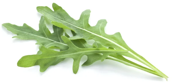 Rucola kruid. — Stockfoto