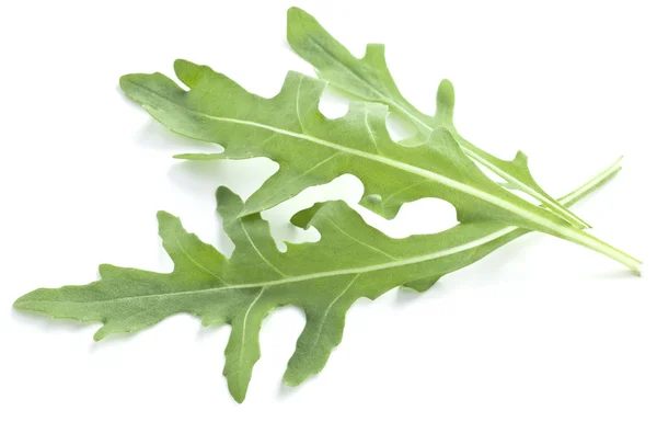 Erba di rucola . — Foto Stock