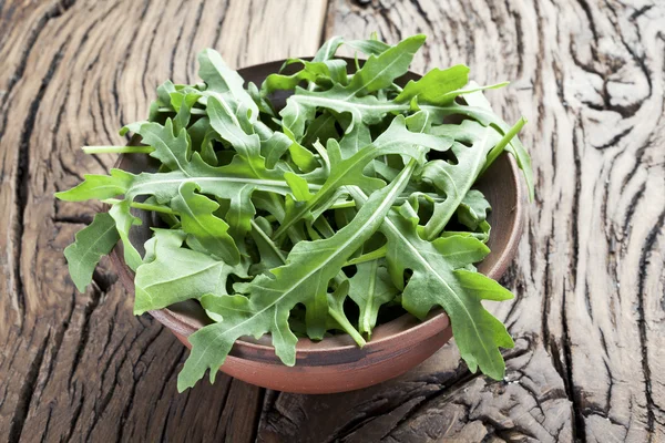 Arugula  herb. — Stock Photo, Image