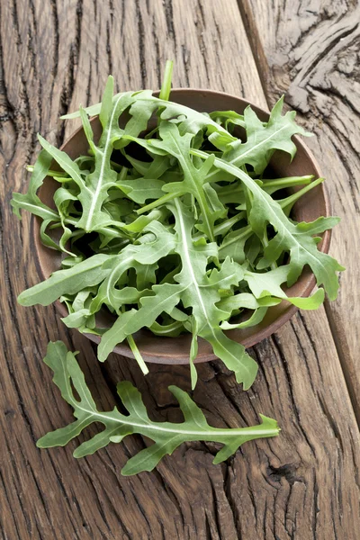 Ziół arugula. — Zdjęcie stockowe