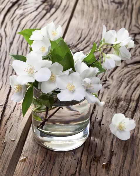 Jasmine flowers over old wooden table. — Stock Photo, Image