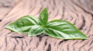 fesleğen yaprakları eski ahşap tablo.