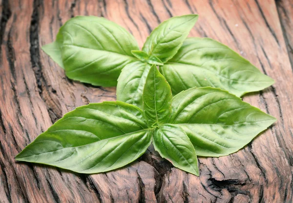 Feuilles de basilic sur une vieille table en bois . — Photo