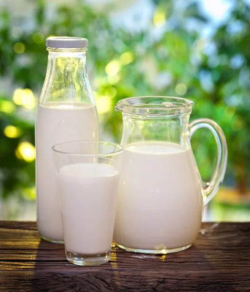 Mjölk i olika rätter. — Stockfoto