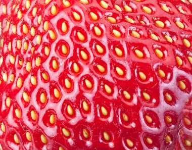 çilek meyve arka plan.