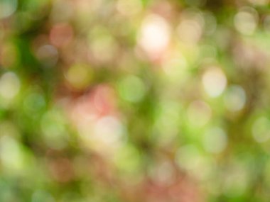 Güzel bulanık sonbahar arkaplanı. Parlak soyut bokeh.