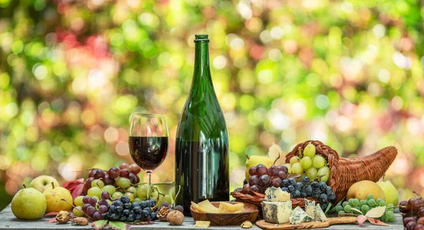 Raisins Bouteille Vin Différents Fromages Sur Table Bois Campagne Fond — Photo