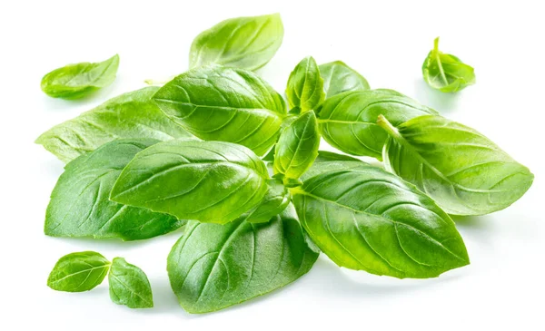 Macro Shot Fresh Green Basil Leaves Isolated White Background — Stock Photo, Image