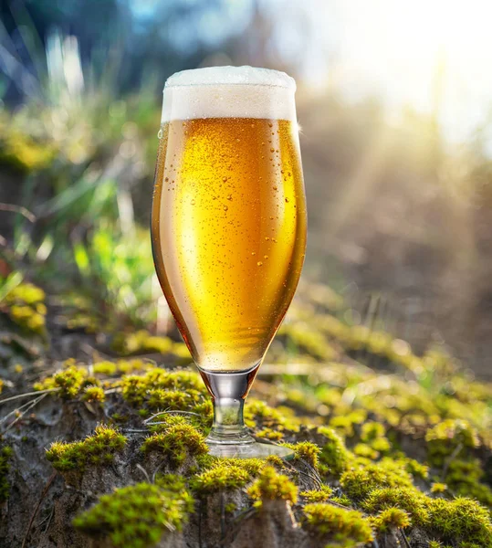 Copo Frio Cerveja Com Espuma Branca Bolhas Gás Interior Natureza — Fotografia de Stock