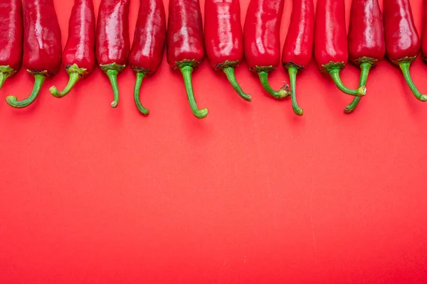Färsk Röd Chili Paprika Låg Rad Isolerad Röd Bakgrund Ovanifrån — Stockfoto