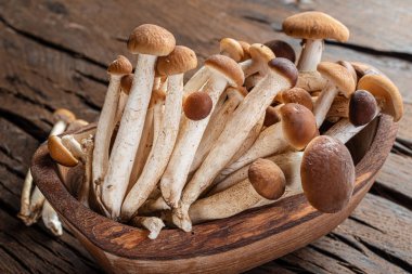 Masadaki ahşap kasede Armillaria mellea ya da bal mantarı.