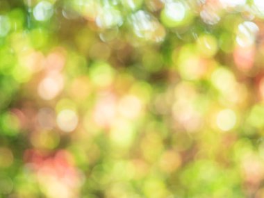 Güzel bulanık sonbahar arkaplanı. Parlak soyut bokeh.