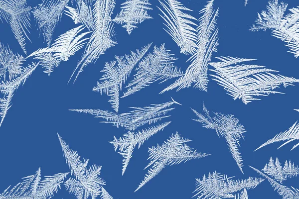 Beautiful Frost Patterns Ice Feather Shape Frozen Window Symbol Christmas — Stock Photo, Image