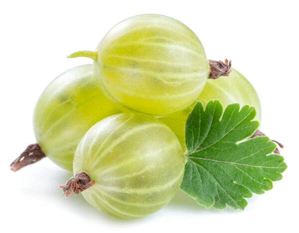 Green ripe gooseberries on white background. Close-up.