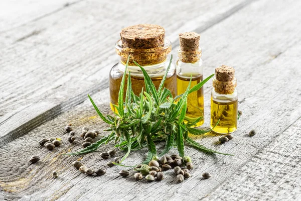 Racema Piante Cannabis Olio Canapa Isolati Sfondo Legno Vicino — Foto Stock