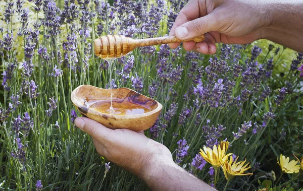 Mannen Håller Honungsratten Över Träplattan Med Honung Blommande Lavendel Växter — Stockfoto
