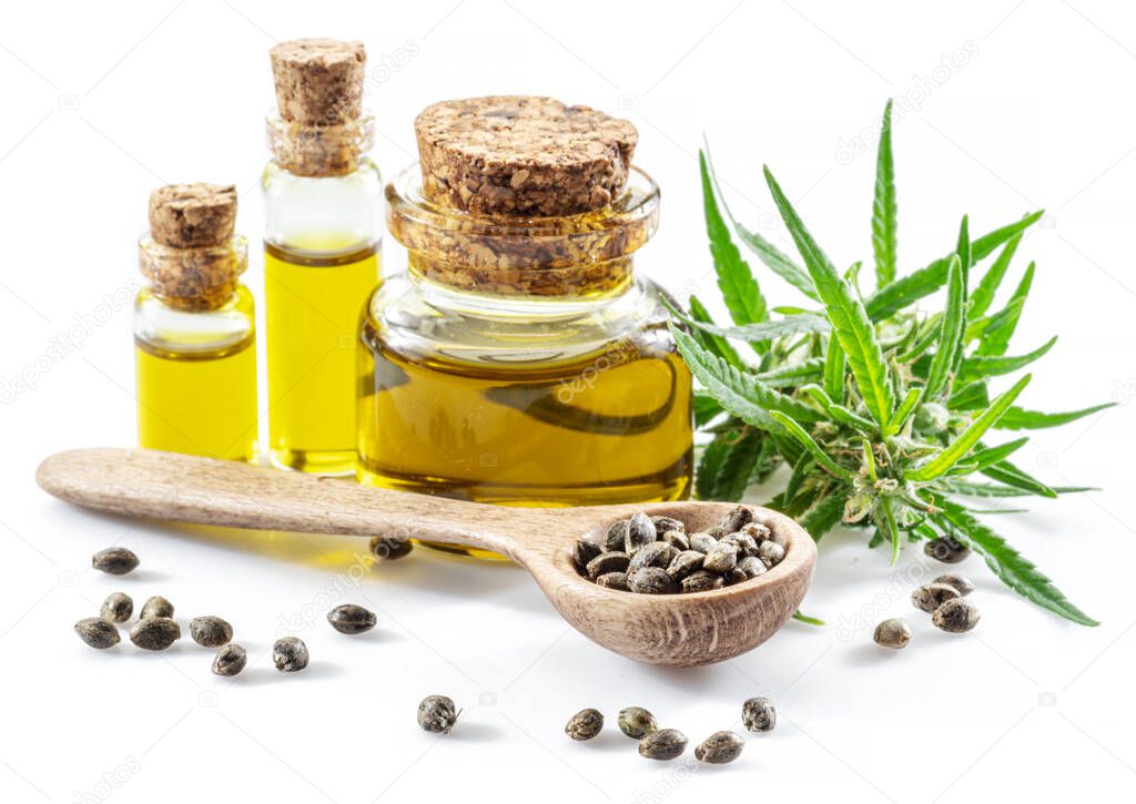 Cannabis seeds in the wooden spoon and bottles of hemp oil isolated on white background. Close up.