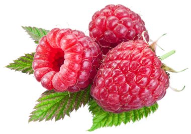 Üç ahududu yaprağı üzerinde beyaz izole ile.