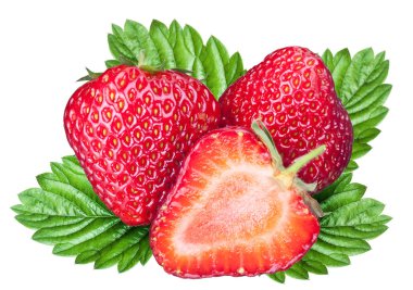 çilek meyve yaprakları ile. dosyada, kırpma yolları.