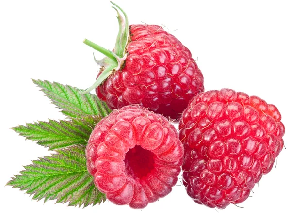 Drei Himbeeren mit Blättern isoliert auf einem weißen. — Stockfoto