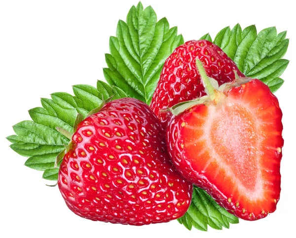 Eine reiche Erdbeerfrucht. — Stockfoto