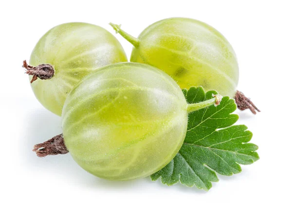 Three Green Ripe Gooseberries Leves White Background Close — Stock Photo, Image