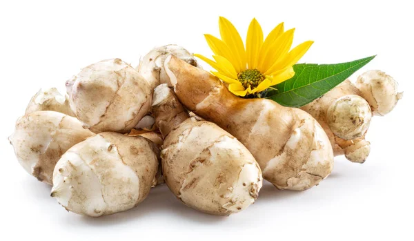 Gerusalemme Radici Carciofo Con Foglie Fiore Topinambur Isolato Fondo Bianco — Foto Stock