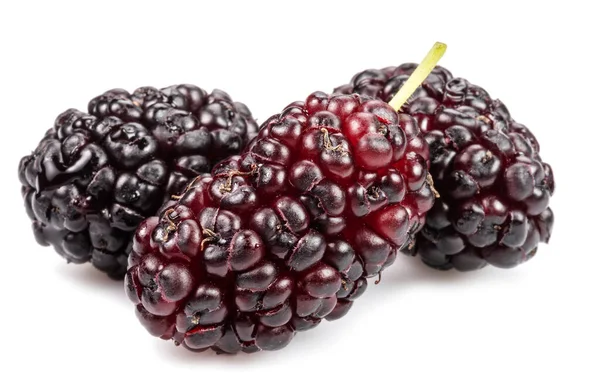 Tre Mogna Svarta Mullbär Frukt Isolerad Vit Bakgrund — Stockfoto