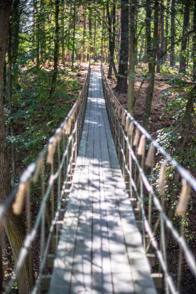 Подвесной Мост Лесу Природа — стоковое фото