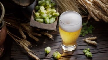  Taze bira akıntısı filtresiz bira bardağına dökülür, olgun bira şerbetçiotu, arpa kulağı ve arka planda ev yapımı bira ruhu ile.. 