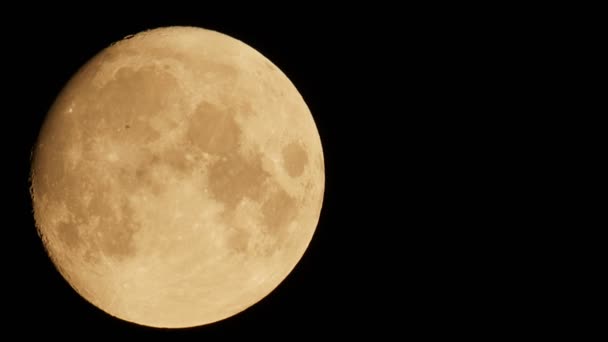 不完整的月亮缓慢地穿过夜空 小鸟在月亮的轮廓前飞翔 — 图库视频影像