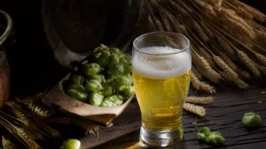 Taze bira akıntısı filtresiz bira bardağına dökülür, olgun bira şerbetçiotu, arpa kulağı ve arka planda ev yapımı bira ruhu ile.. 