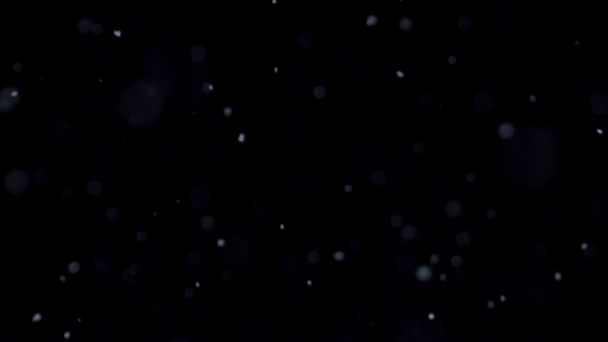 Fallende Natürliche Schneeflocken Isoliert Auf Schwarzem Hintergrund Viel Herabfallender Chaotischer — Stockvideo