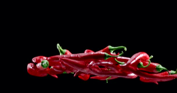 Red Chili Peppers Slowly Fly Fall Black Background Blackmagic Ursa — Stock Video